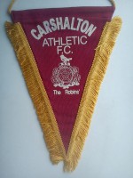 /album/carshalton/carshalton-athletic-fc-27-jpg1/